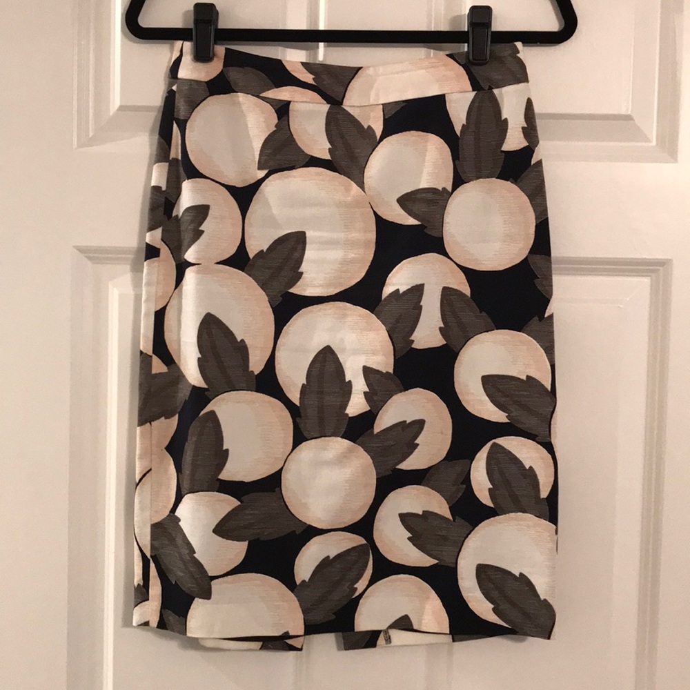 Ann Taylor Skirt